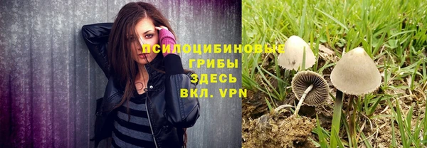 MESCALINE Горняк