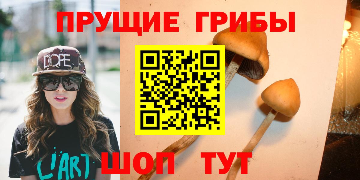 Галлюциногенные грибы Cubensis  цена   Качканар  Вход с VPN 