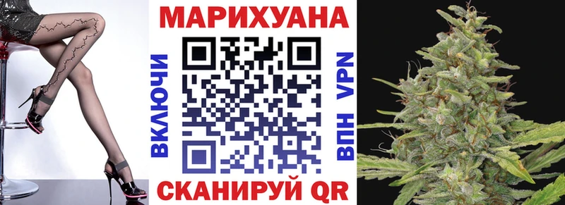 Марихуана сатива  Качканар 