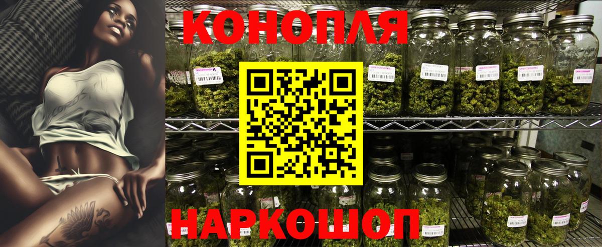Шишки марихуана OG Kush Качканар